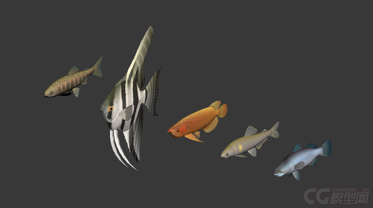 不同的5条鱼,精模,有材质.