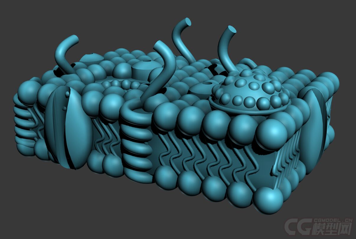 高精度细胞膜模型,教学医用模型,含stl格式,可3d打印,专注用于3d打印.