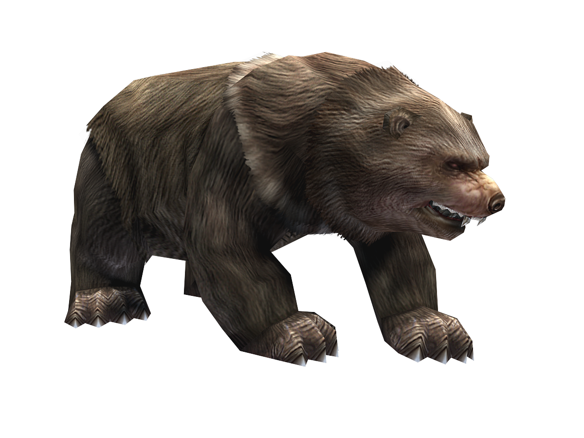 写实的棕熊,狂暴熊,怪物熊,含蒙皮动作动画材质.