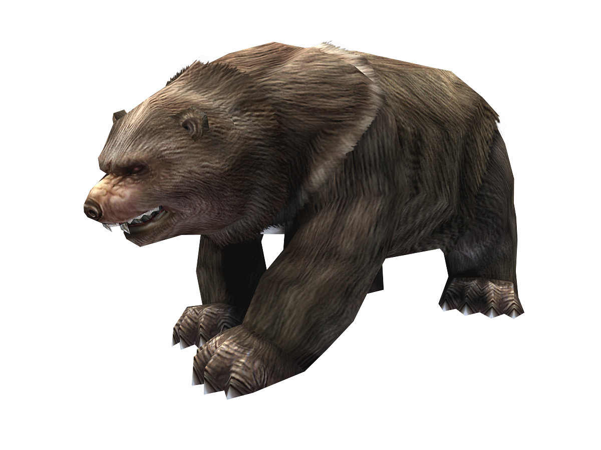 写实的棕熊,狂暴熊,怪物熊,含蒙皮动作动画材质.