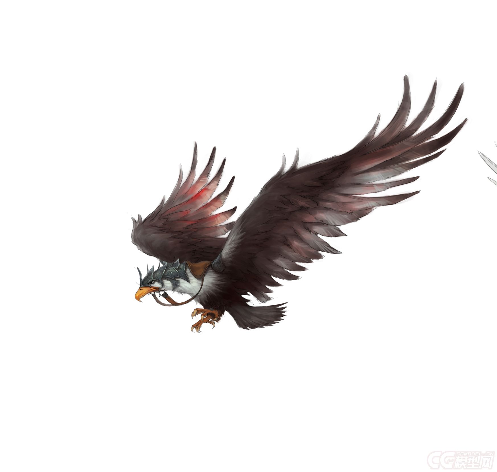 鹰---老鹰 战鹰模型