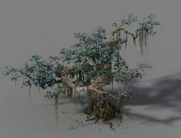 q版树.**.古树.老树.