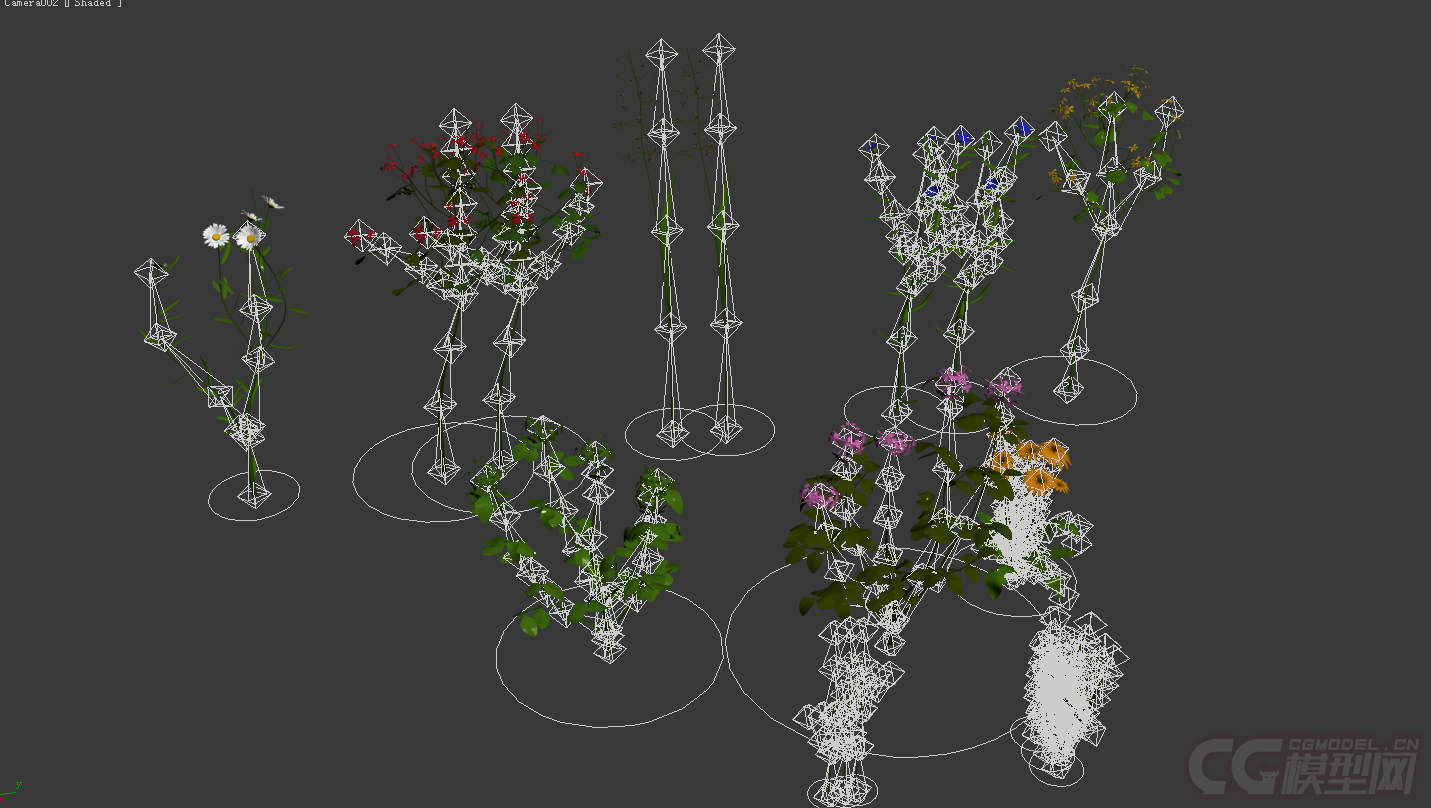 CG原创 一组动植物模型-草类模型库-模型下载-cg模型网