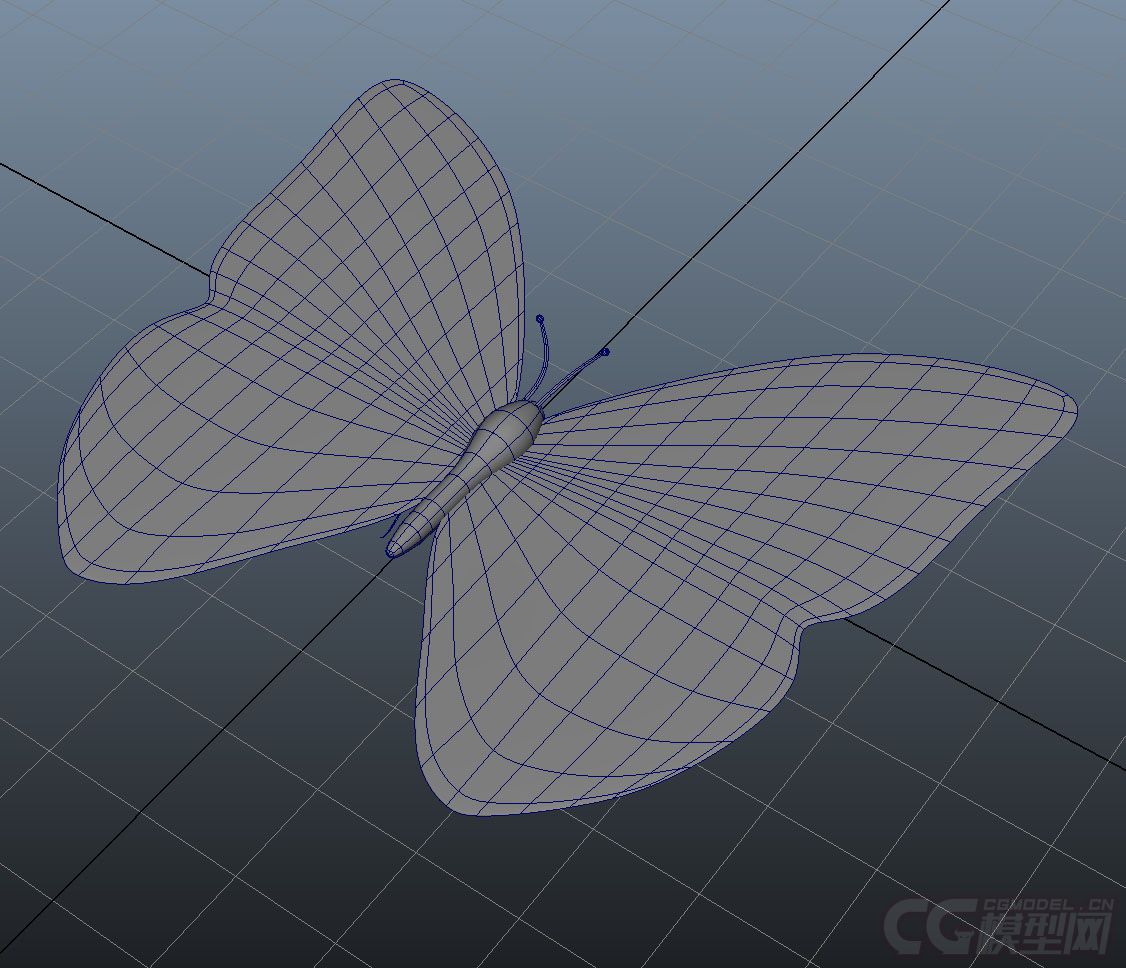 蝴蝶_梦幻虚_无作品_动物哺乳_cg模型网