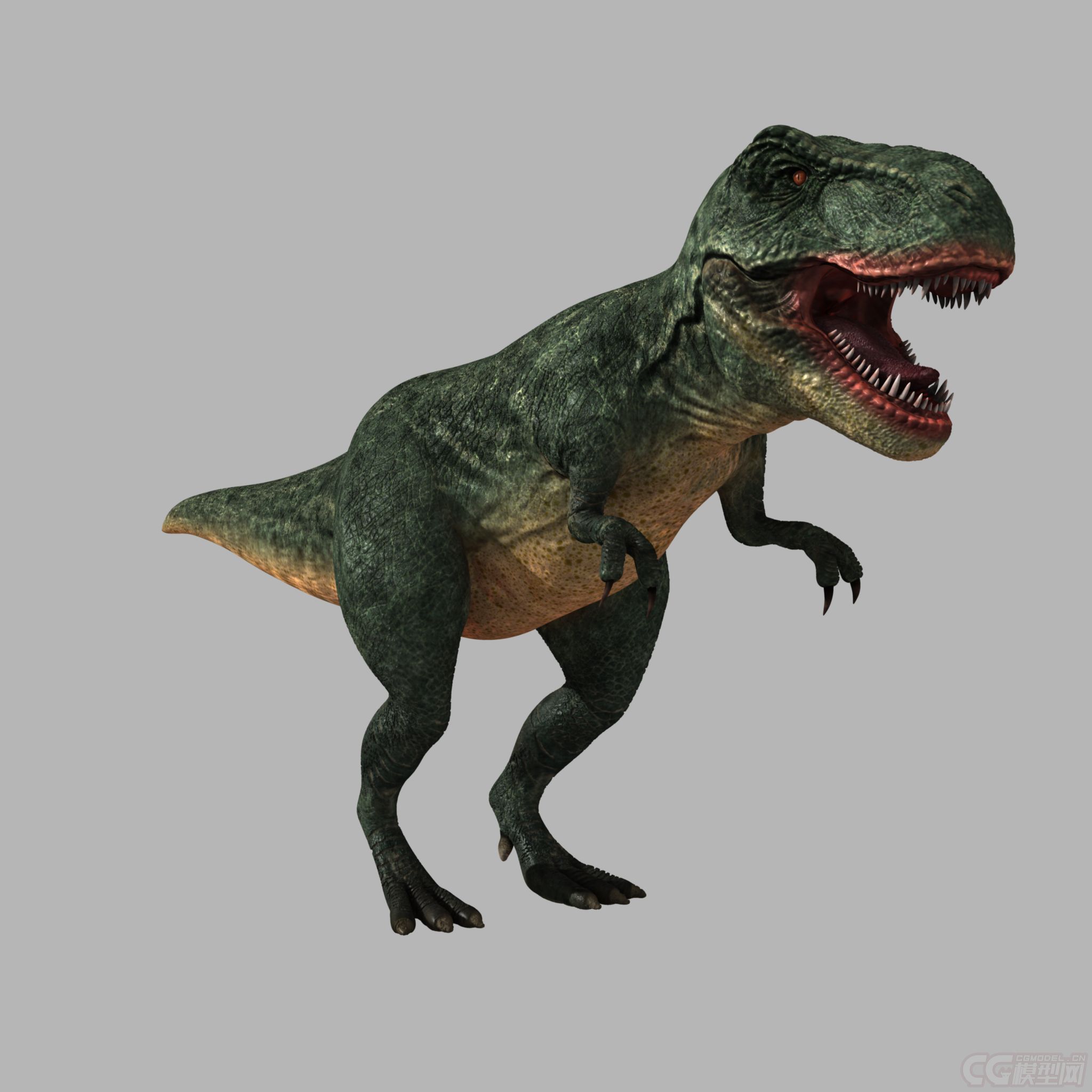 超写实影视级别恐龙模型