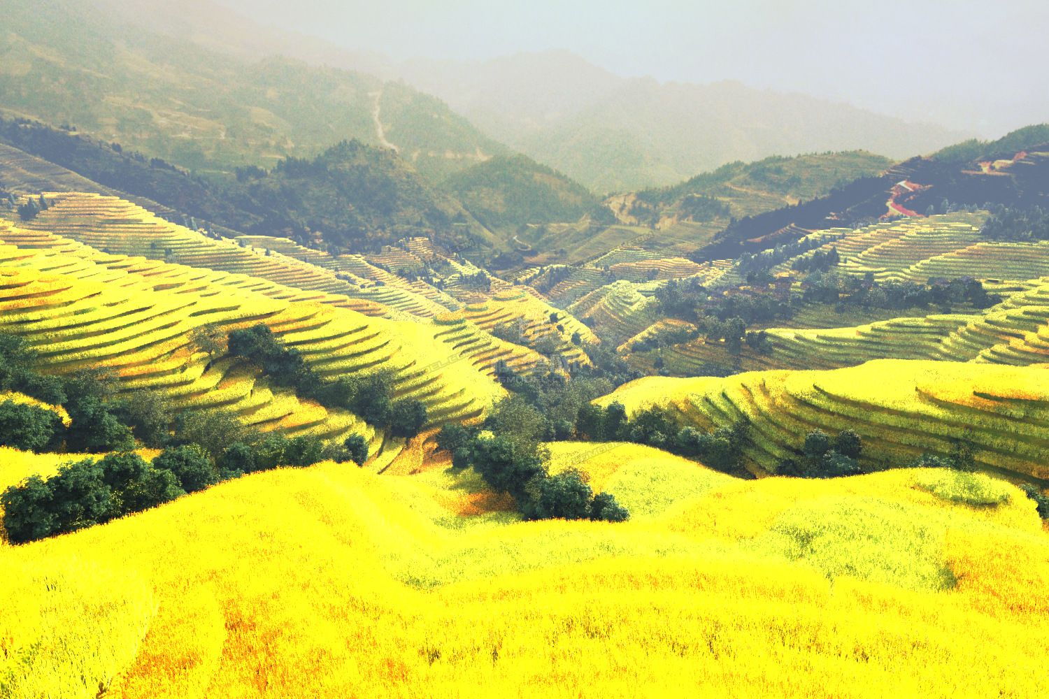 梯田 农田 山地