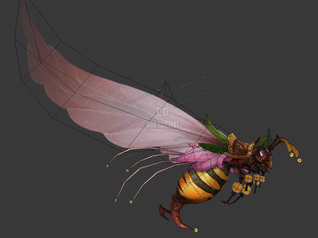 高质量蜂王蜜蜂巨蜂玉蜂蜂刺