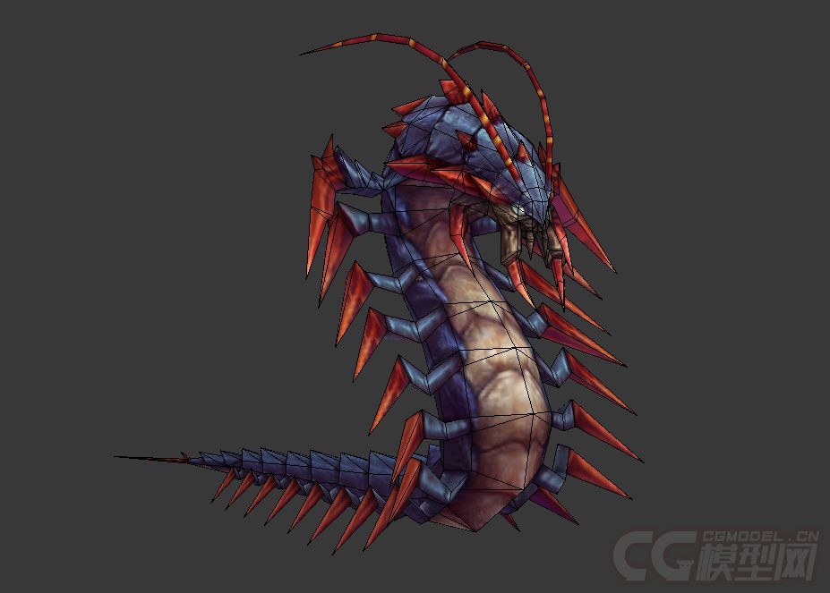 蜈蚣怪巨大的爬行蜈蚣