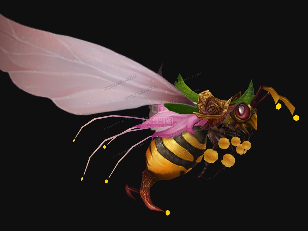 高质量蜂王蜜蜂巨蜂玉蜂蜂刺