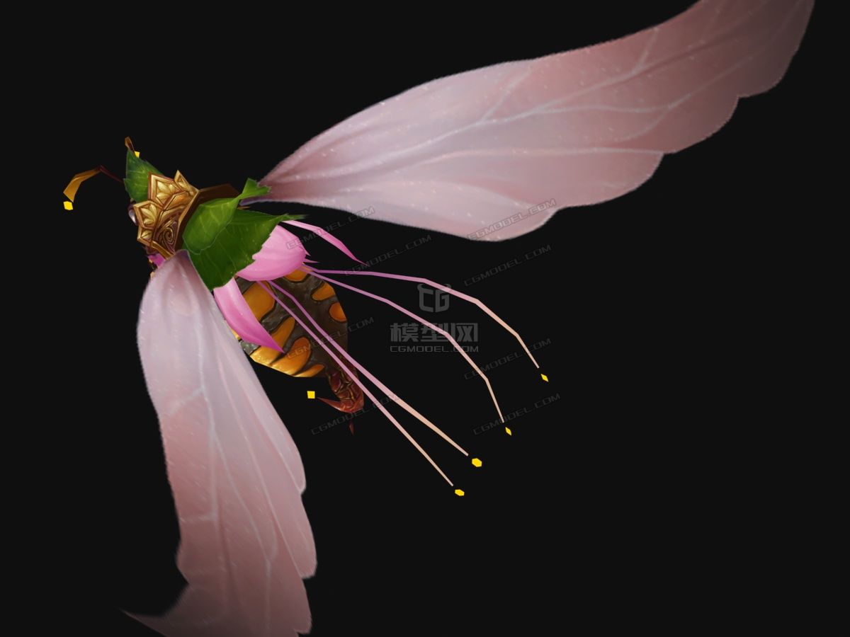 高质量蜂王蜜蜂巨蜂玉蜂蜂刺