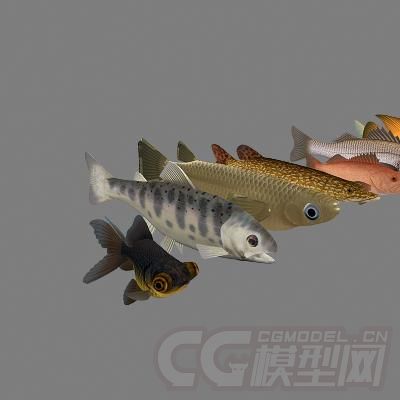 高模鱼群模型共9条有材质无绑定