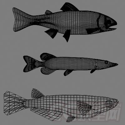 高模鱼群模型共9条有材质无绑定