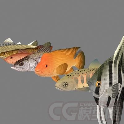 高模鱼群模型共9条有材质无绑定