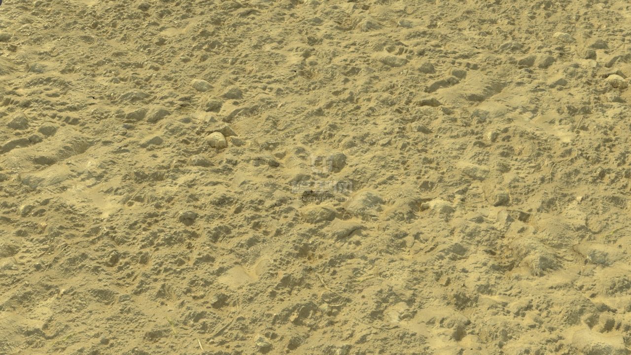 自己做的森林地面(4k贴图材质)(带整理的树枝,落叶,石头,地面,树桩