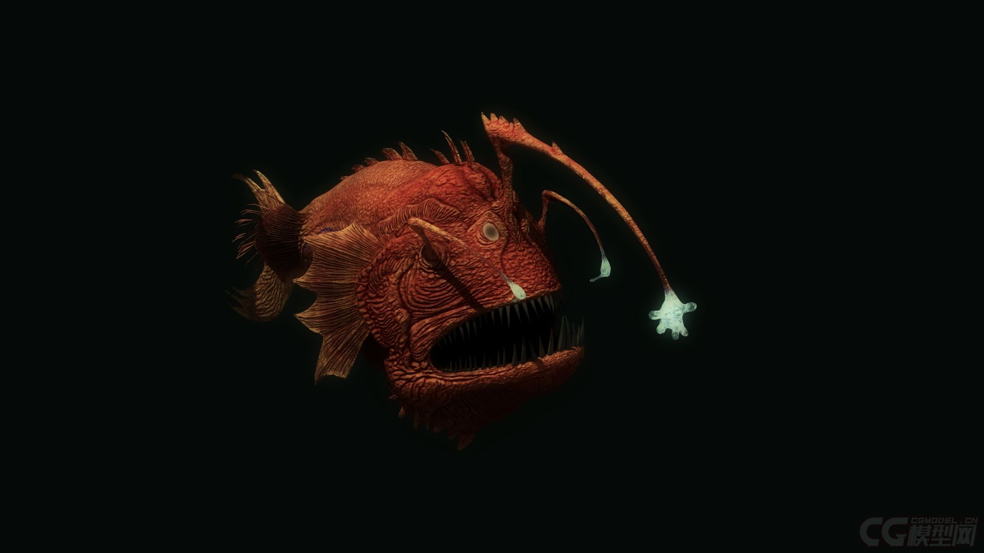 深海里的灯笼鱼图片
