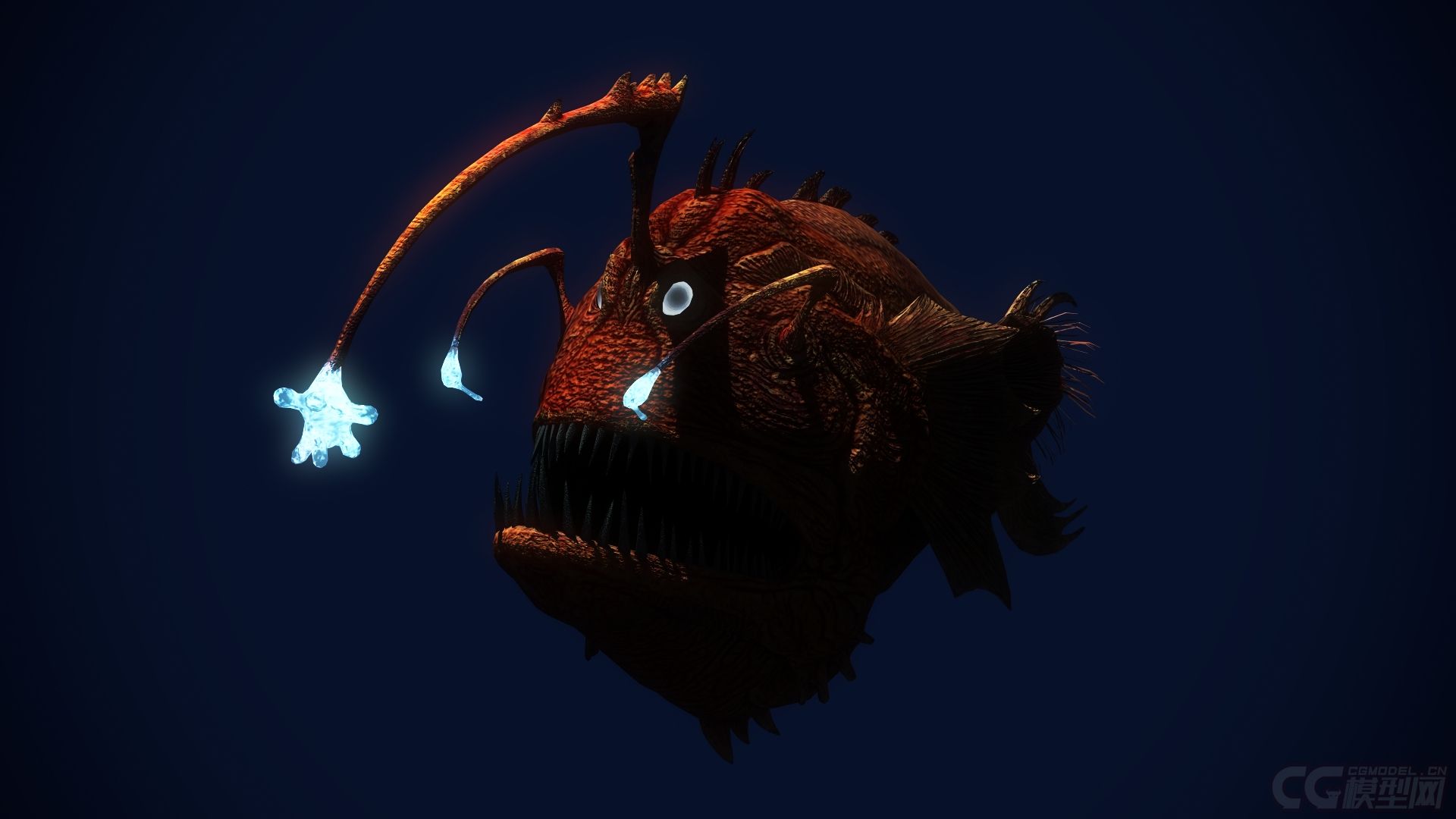 灯笼鱼(有绑定动画)_q89016705作品_动物哺乳_cg模型网