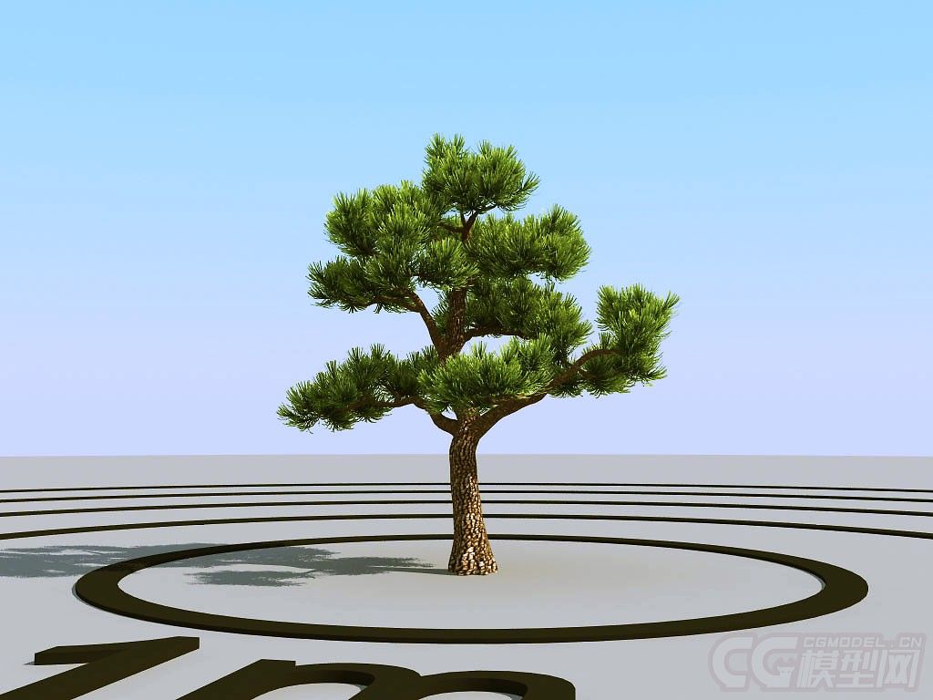 造型松 油松模型-树木模型库-3ds Max(.max)模型下载-cg模型网
