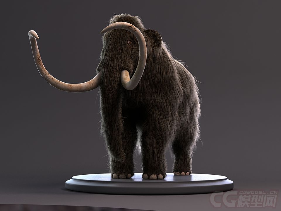 影视级猛犸象带毛发无绑定 大象 毛象_hanley作品_动物哺乳_cg模型网