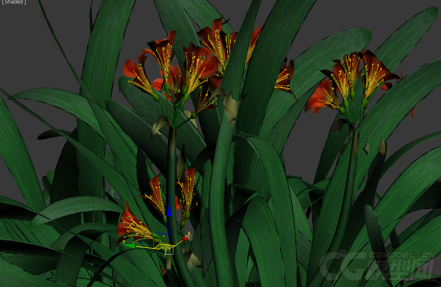 花草 写实模型-花卉模型库-3ds Max(.max)模型下载-cg模型网