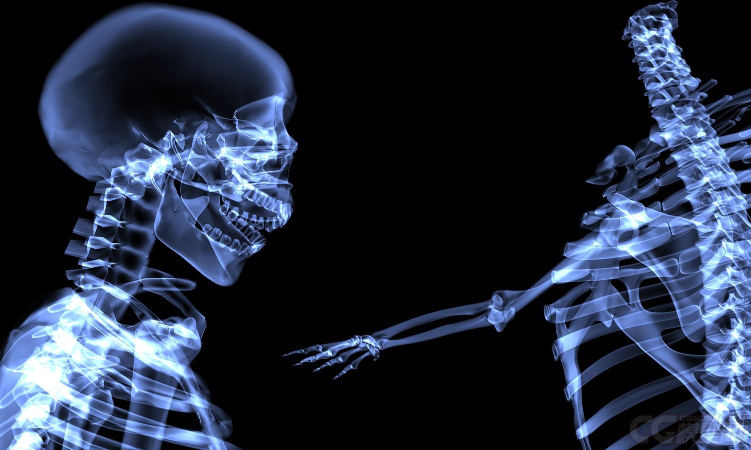 x光 人体骨骼 骷髅
