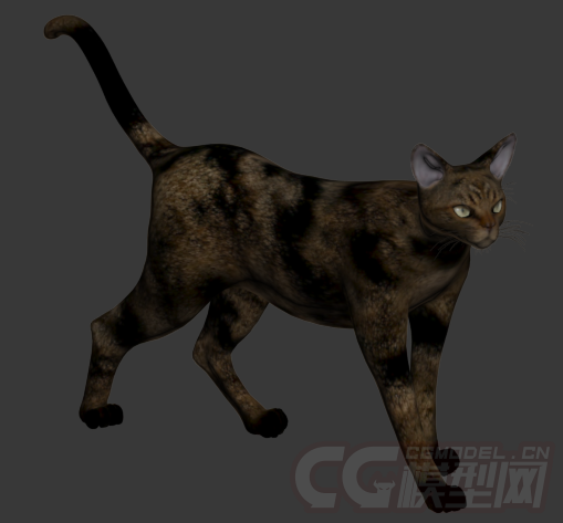 一只黑花猫模型