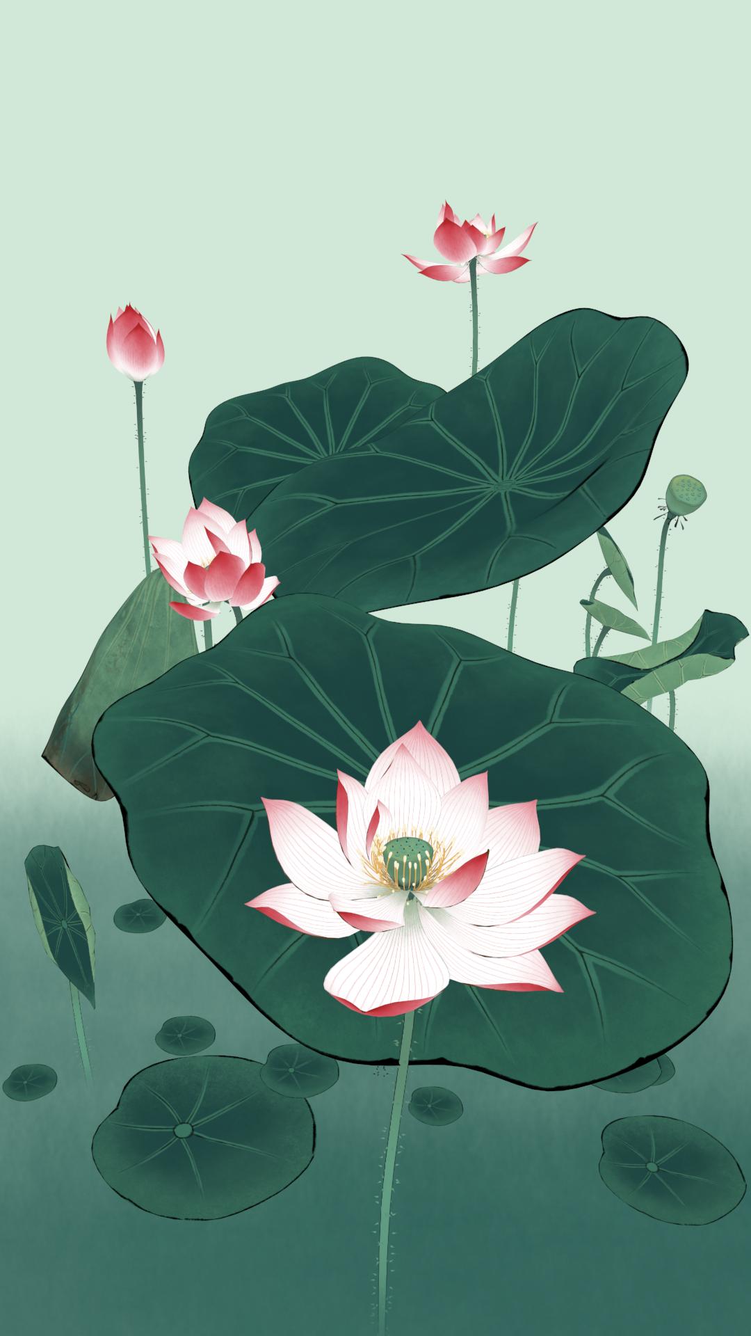 3d中国画工笔荷花