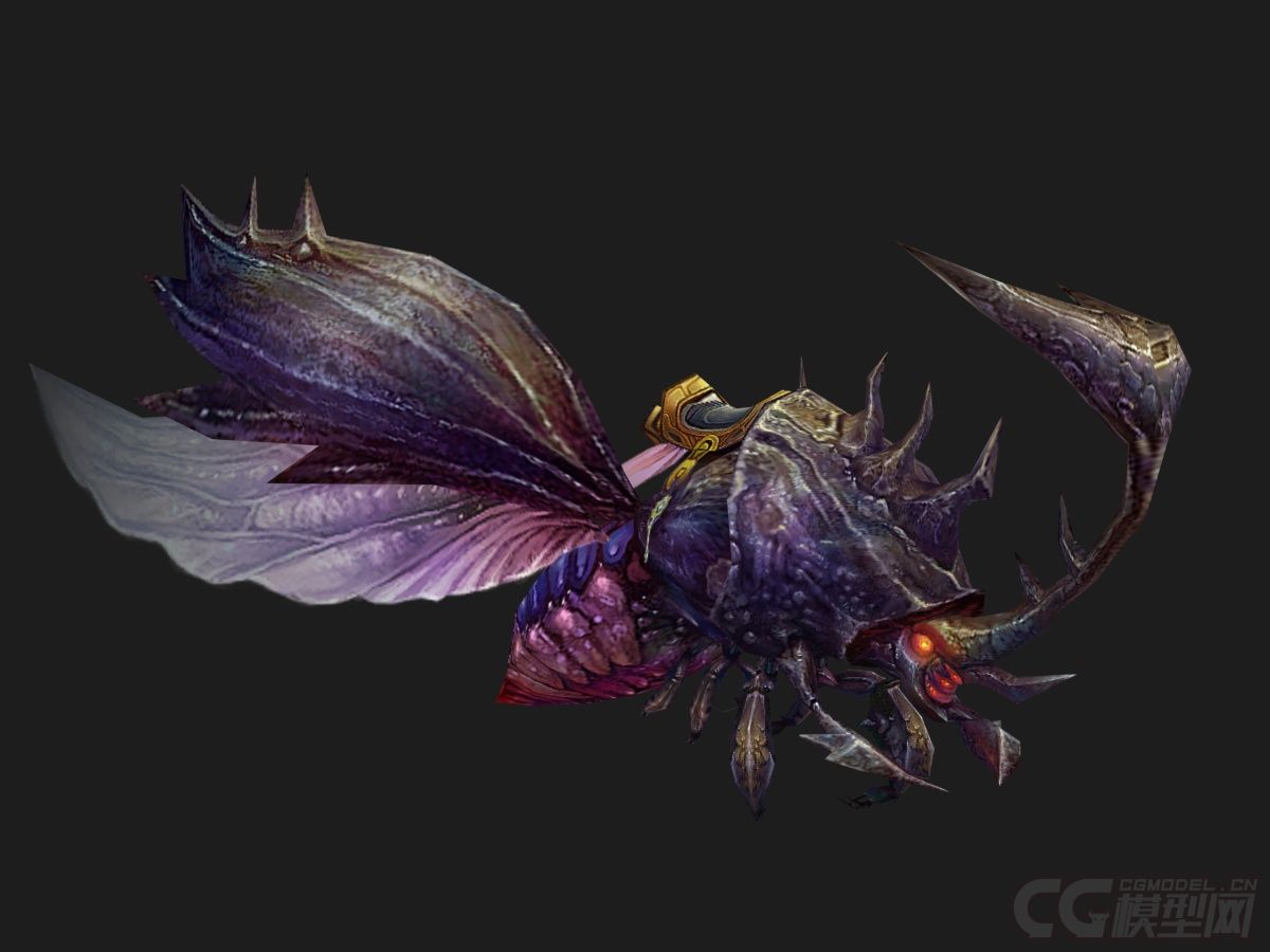 甲虫坐骑黑甲虫屎壳郎