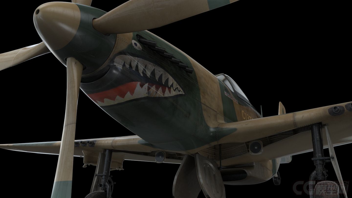 p51战斗机,战斗机,军用飞机