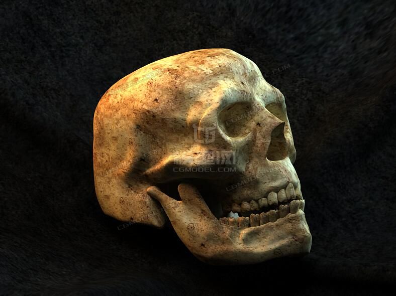 头骨 头盖骨 人头骨 以前的练习 贴图灯光齐全 适合3d打印