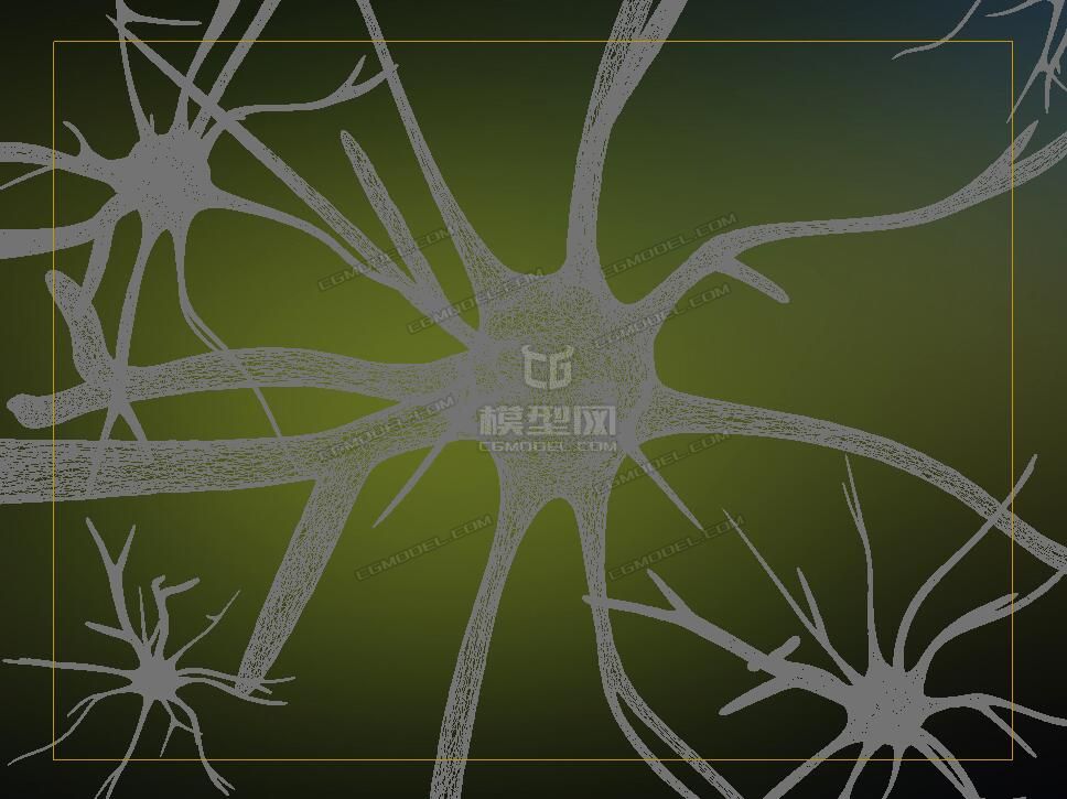 神經元 神經細胞 醫學模型 醫療動畫 影視模型 原創模型