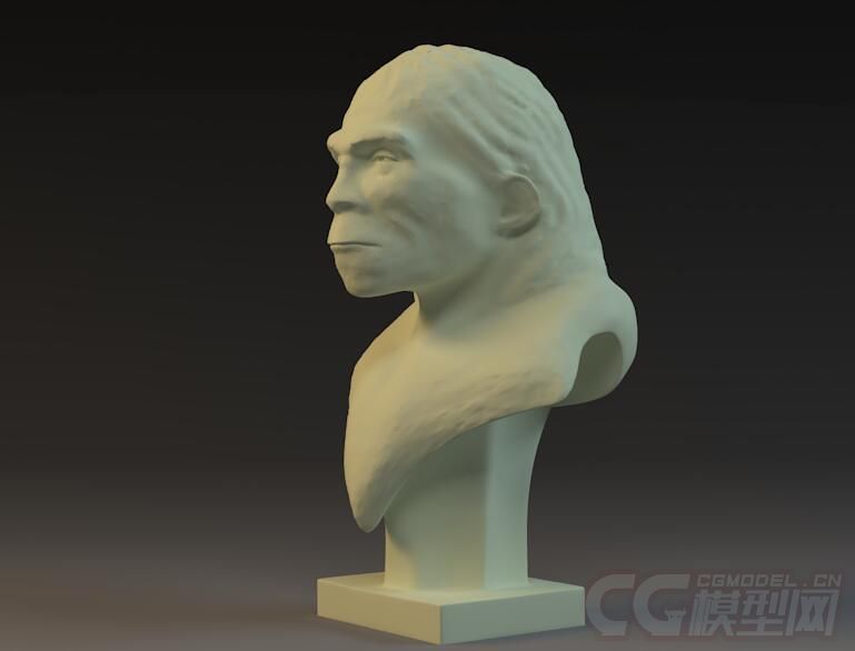 猿人头像 北京猿人 洞穴猿人 山顶洞人 3d打印 雕塑模型