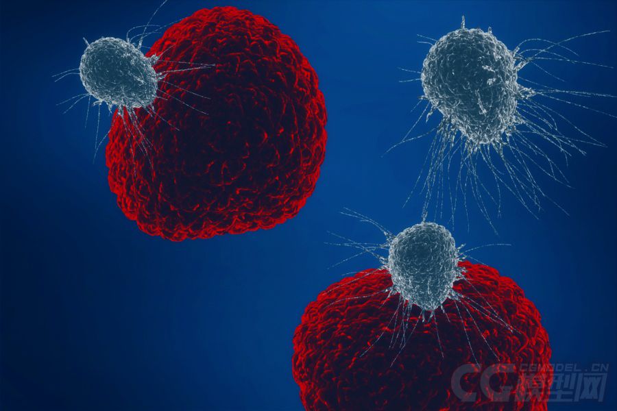 癌症细胞扩散细胞入侵癌病变