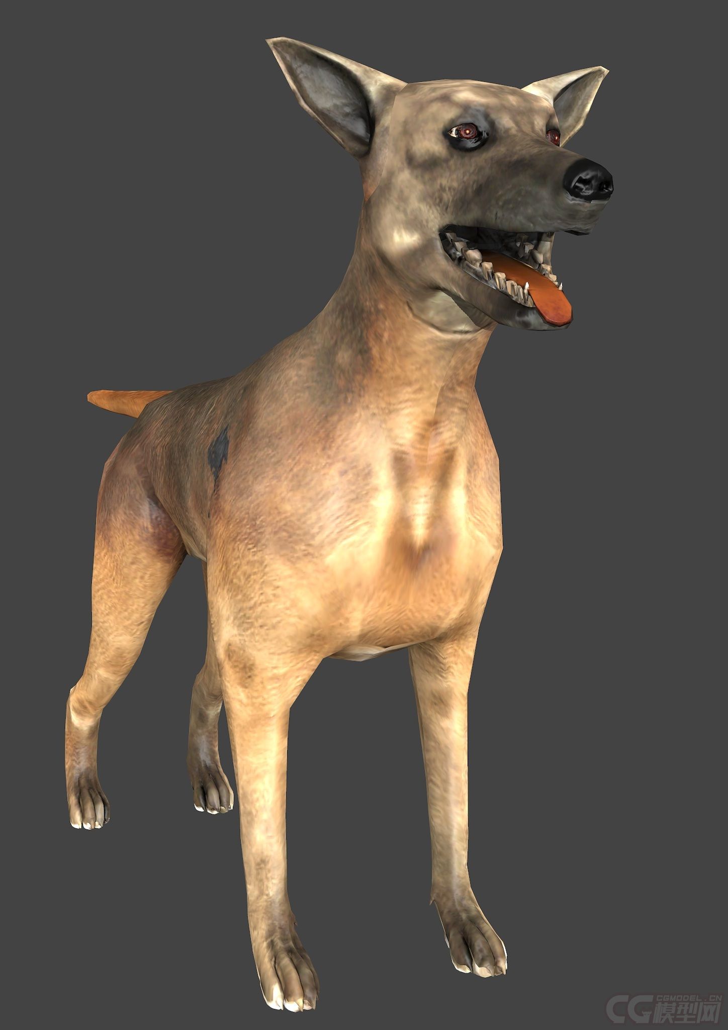 影视级别的狗_wm721110作品_动物哺乳_cg模型网