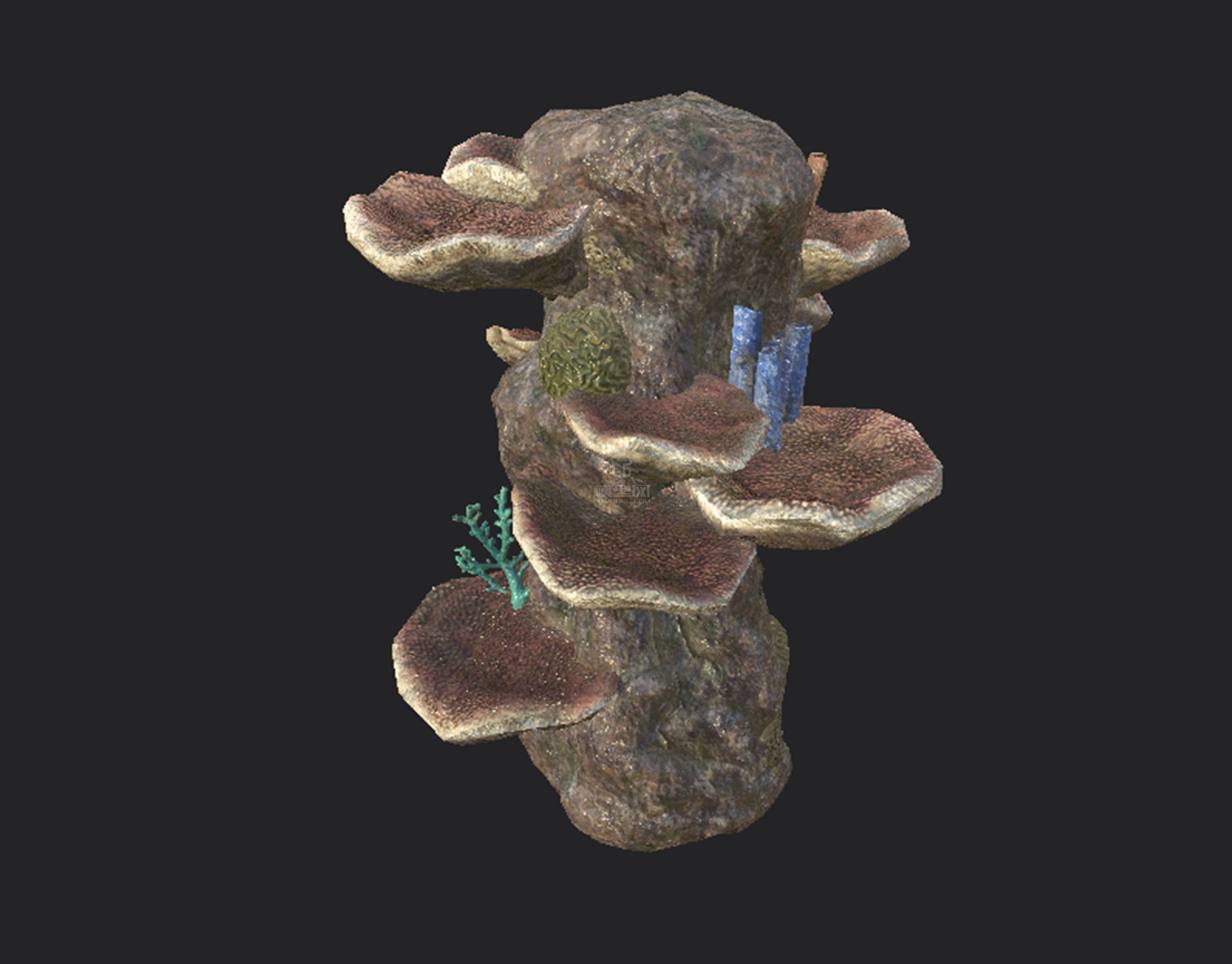 海底石头带珊瑚_cp982016861作品_场景自然场景_cg模型网