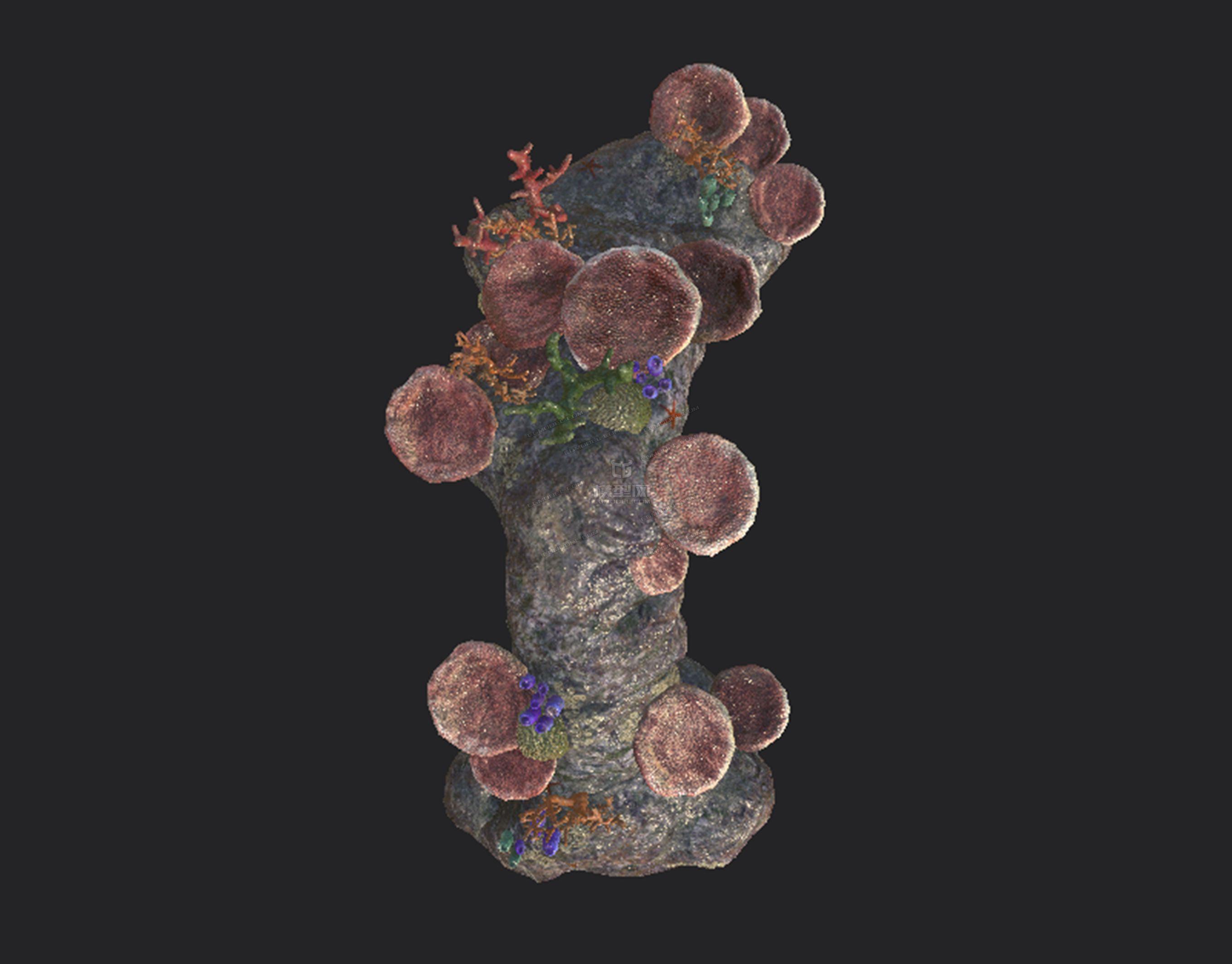 海底石头带珊瑚_cp982016861作品_场景自然场景_cg模型网