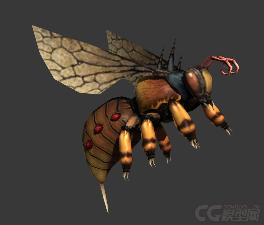 高质量蜜蜂黄蜂蜂刺