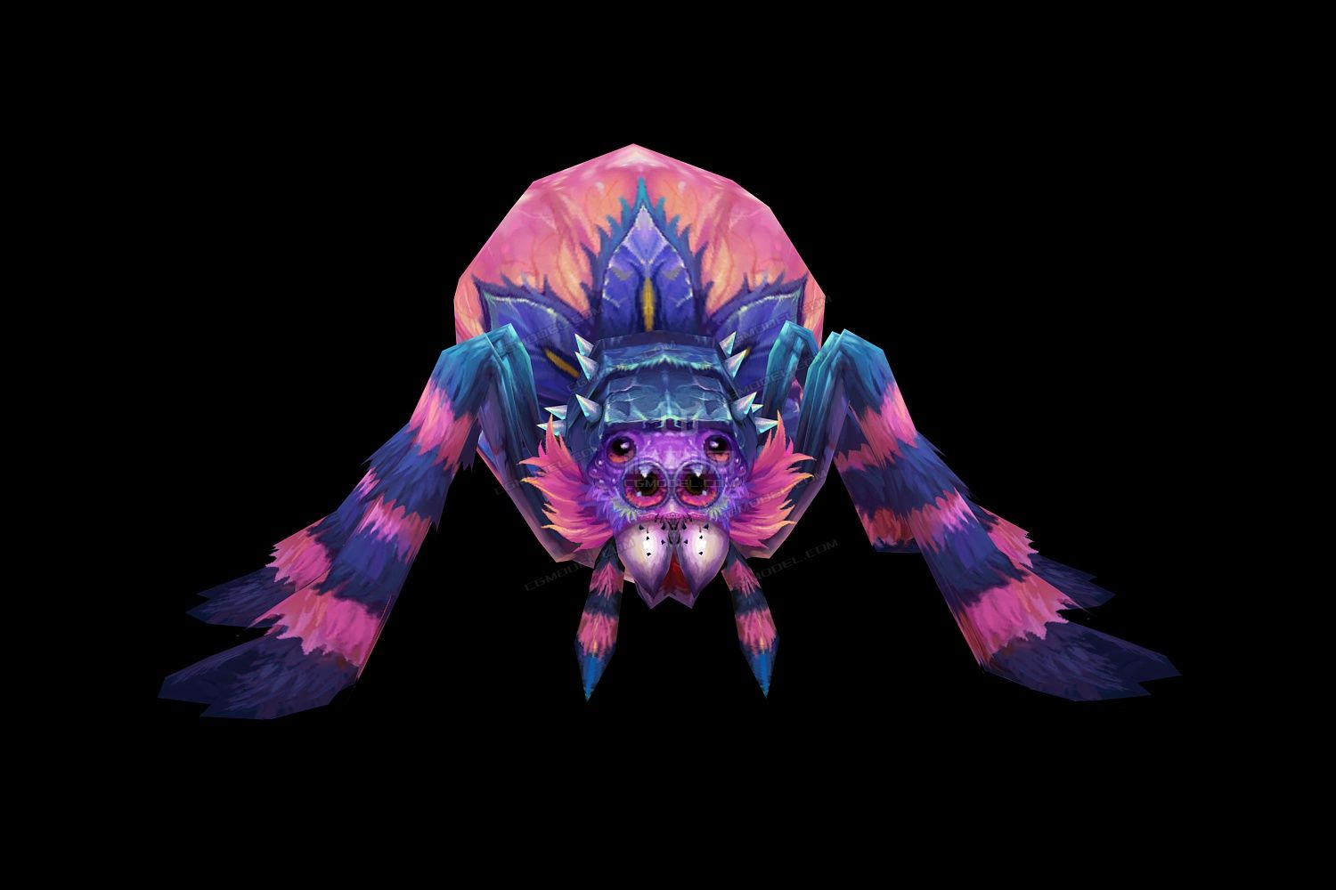 漂亮的五彩蜘蛛 猪猪乖 花蜘蛛 粉色蜘蛛  粉蛛