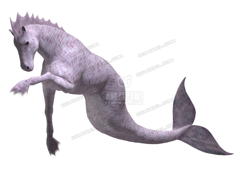 带绑定贴图的海马 马头鱼尾兽 hippocampus sea horse