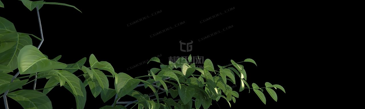 树枝叶子 花生长动画模型-树木模型库-3ds Max(.max)模型下载-cg模型网
