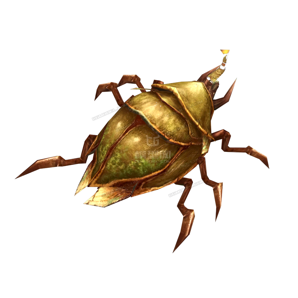 甲虫 圣甲虫_草八刀作品_动物昆虫_cg模型网