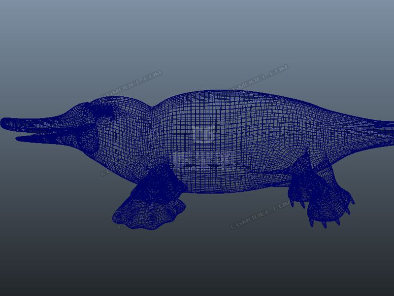 鴨嘴獸 鴨獺 platypus duckbill duckmole 影視級鴨嘴獸 寫實鴨嘴獸