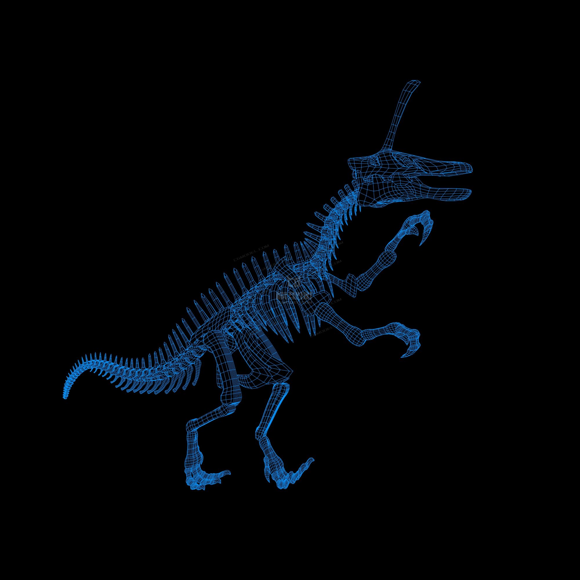 青岛龙有贴图恐龙骨骼模型带x光效果