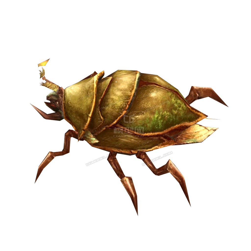 甲虫 圣甲虫_草八刀作品_动物昆虫_cg模型网