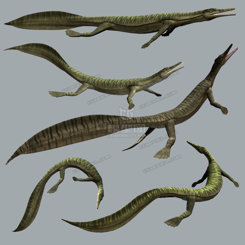 mesosaurus 中龙 原始恐龙 石炭纪 蛇颈龙 远古水龙 深海鱼怪 水怪湖