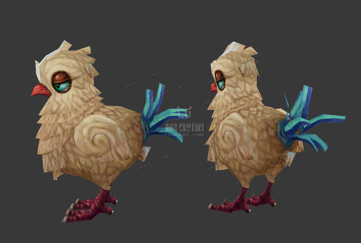 可爱的家禽鸡怪小鸡野鸡鸟类公鸡母鸡