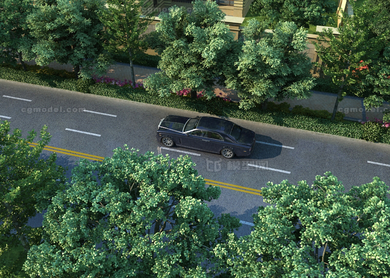 写实鸟瞰林荫路车驶过 树顶穿行俯瞰植物 Cg模型网 Cgmodel 三维设计师交流互动平台 专注多品类3d模型下载 原创作品分享 软件学习