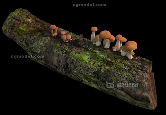 瓜果蔬菜 蘑菇写实模型模型-水果蔬菜模型库-3ds Max(.max)模型下载-cg模型网