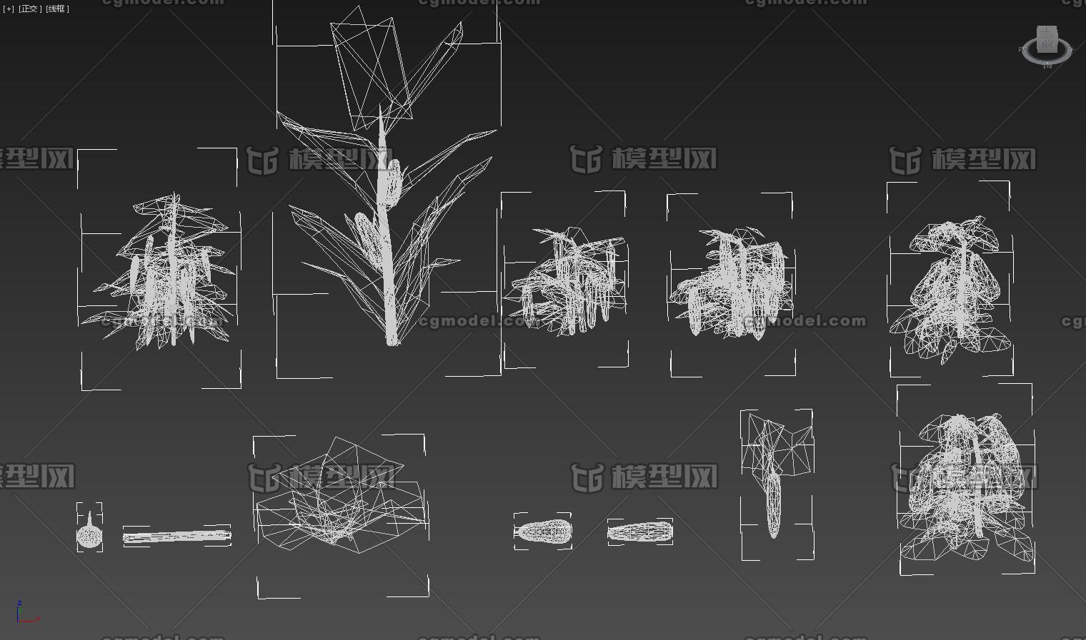 蔬菜 蔬果植物模型-水果蔬菜模型库-3ds Max(.max)模型下载-cg模型网