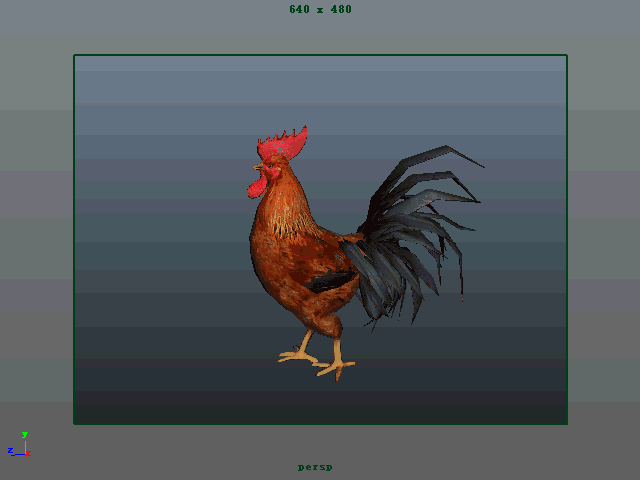 公鸡动画 3d公鸡 家禽 循环动画