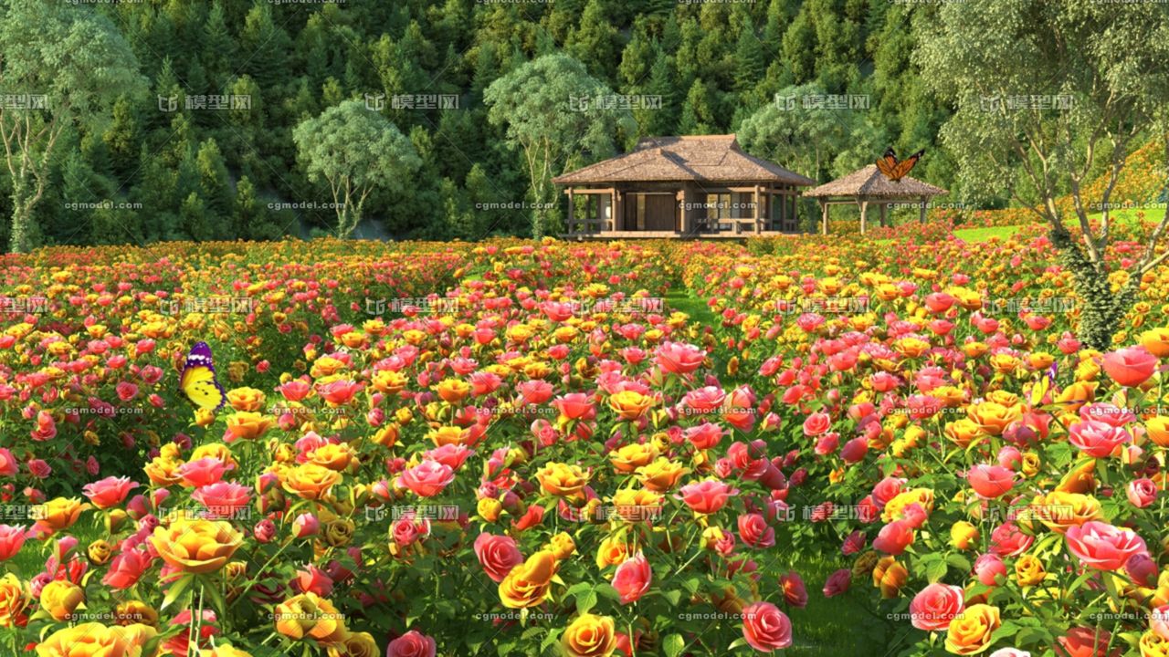 玫瑰谷 紅玫瑰花海 玫瑰莊園 玫瑰花圃 蝴蝶飛舞 生態農莊 花田 度假